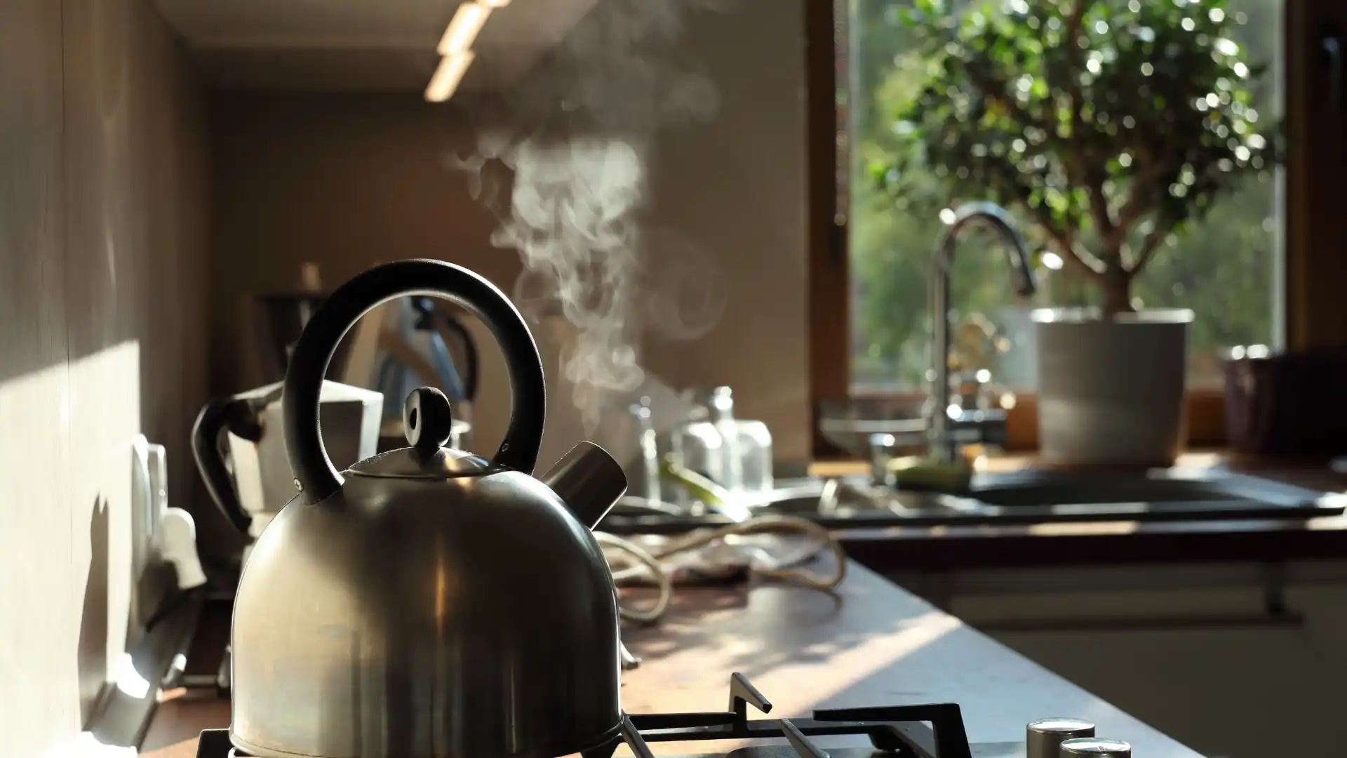How important is water for brewing coffee? An article explaining it in an easily understandable manner.
